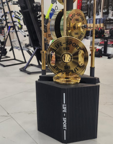 Life Sport Pro Bronze Coating Change Plate 5 kg